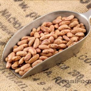 Borlotti Beans