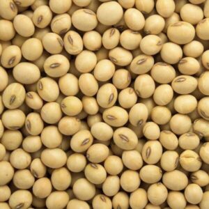 Buy Soybean for sale