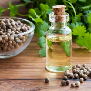 Coriander seed oil