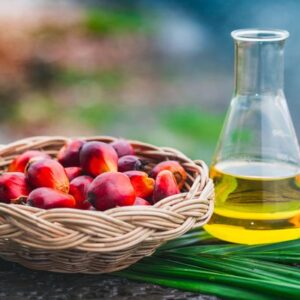 Palm Oil