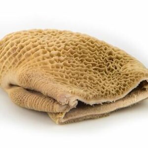 Frozen Beef Honeycombs