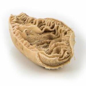 Frozen Beef Omasa