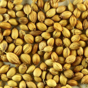 Coriander Seeds