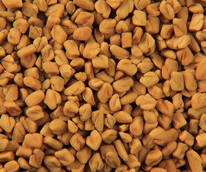 Fenugreek Seeds