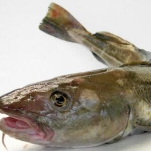 Cod