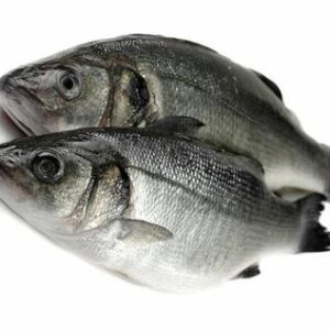 Sea bass
