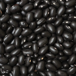Black Beans Turtle