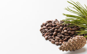 Pine Nuts