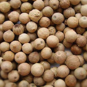 White Pepper